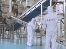 2025年的第一個(gè)月，承德亞歐果仁有限公司在山杏產(chǎn)業(yè)的道路上持續(xù)奮進(jìn)，展現(xiàn)出蓬勃的發(fā)展活力。